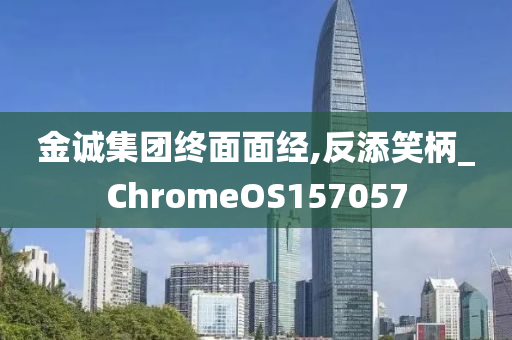 金诚集团终面面经,反添笑柄_ChromeOS157057