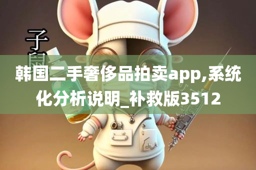 韩国二手奢侈品拍卖app,系统化分析说明_补救版3512