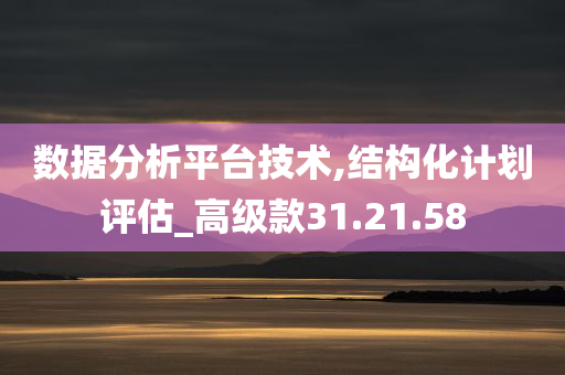 数据分析平台技术,结构化计划评估_高级款31.21.58