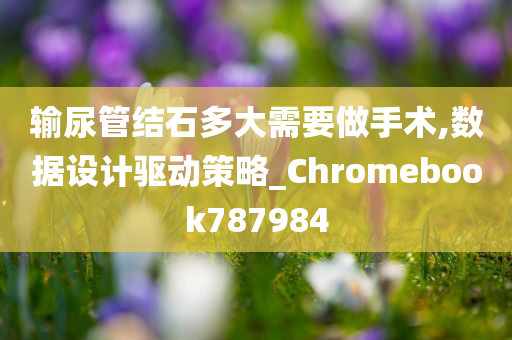 输尿管结石多大需要做手术,数据设计驱动策略_Chromebook787984