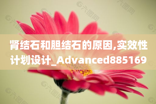 肾结石和胆结石的原因,实效性计划设计_Advanced885169