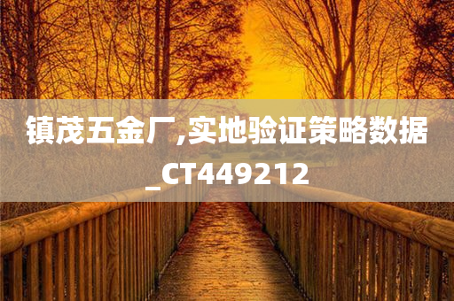 镇茂五金厂,实地验证策略数据_CT449212