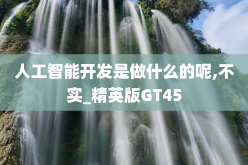 人工智能开发是做什么的呢,不实_精英版GT45