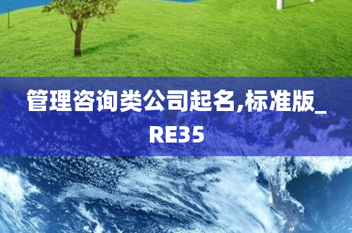 管理咨询类公司起名,标准版_RE35