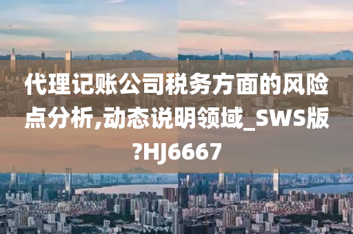 代理记账公司税务方面的风险点分析,动态说明领域_SWS版?HJ6667