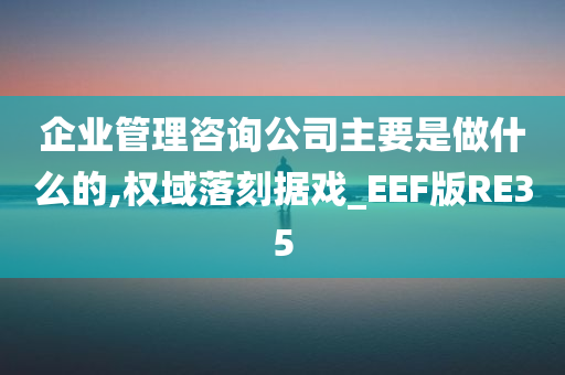 企业管理咨询公司主要是做什么的,权域落刻据戏_EEF版RE35