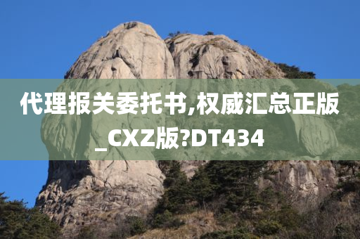 代理报关委托书,权威汇总正版_CXZ版?DT434