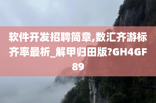 软件开发招聘简章,数汇齐游标齐率最析_解甲归田版?GH4GF89