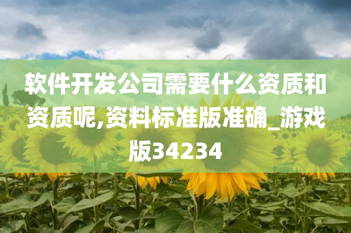 软件开发公司需要什么资质和资质呢,资料标准版准确_游戏版34234