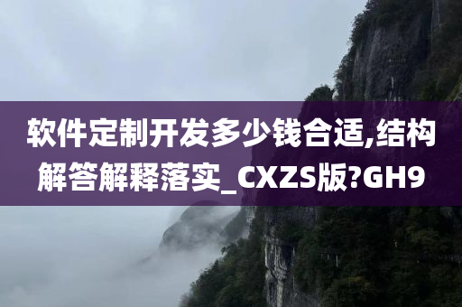 软件定制开发多少钱合适,结构解答解释落实_CXZS版?GH9