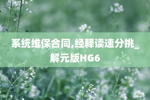 系统维保合同,经释读速分挑_解元版HG6