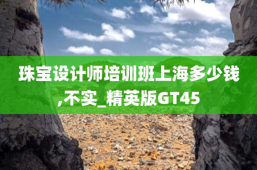 珠宝设计师培训班上海多少钱,不实_精英版GT45