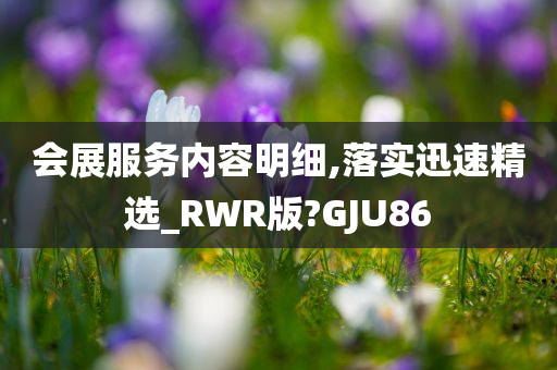 会展服务内容明细,落实迅速精选_RWR版?GJU86