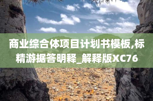 商业综合体项目计划书模板,标精游据答明释_解释版XC76