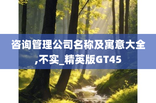 咨询管理公司名称及寓意大全,不实_精英版GT45