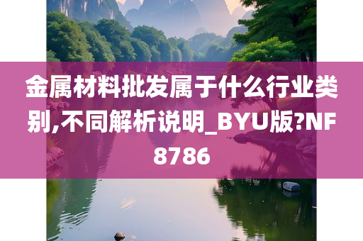 金属材料批发属于什么行业类别,不同解析说明_BYU版?NF8786