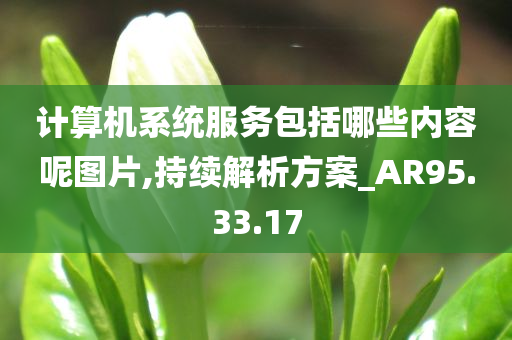 计算机系统服务包括哪些内容呢图片,持续解析方案_AR95.33.17