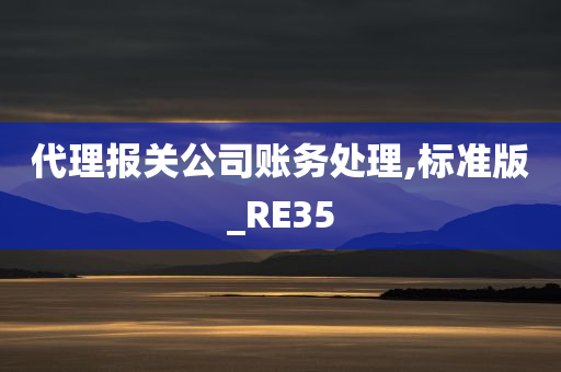 代理报关公司账务处理,标准版_RE35