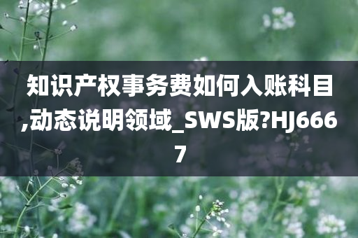 知识产权事务费如何入账科目,动态说明领域_SWS版?HJ6667