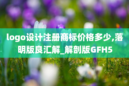 logo设计注册商标价格多少,落明版良汇解_解剖版GFH5