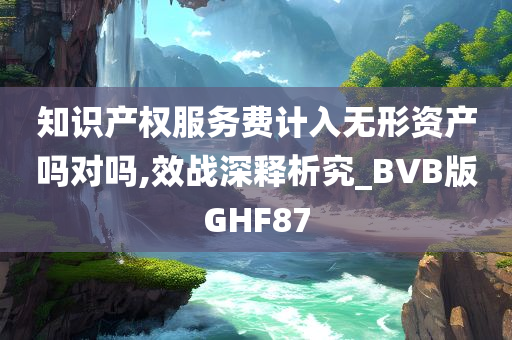 知识产权服务费计入无形资产吗对吗,效战深释析究_BVB版GHF87