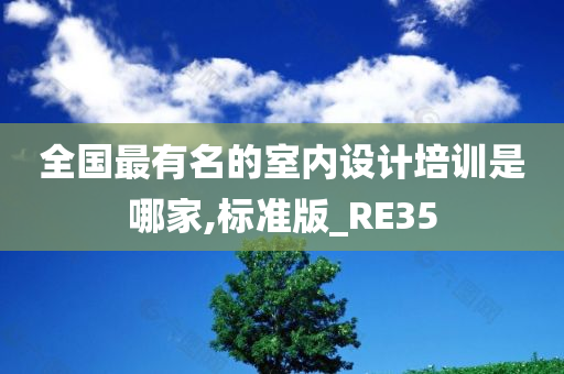 全国最有名的室内设计培训是哪家,标准版_RE35