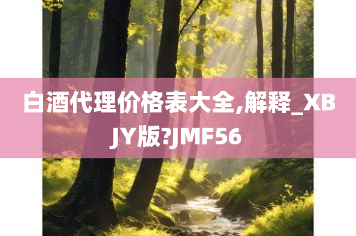 白酒代理价格表大全,解释_XBJY版?JMF56