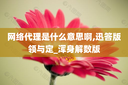 网络代理是什么意思啊,迅答版领与定_浑身解数版