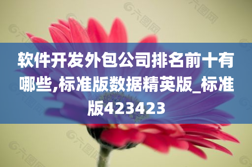 软件开发外包公司排名前十有哪些,标准版数据精英版_标准版423423