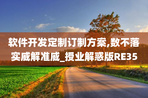 软件开发定制订制方案,数不落实威解准威_授业解惑版RE35