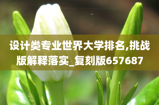 设计类专业世界大学排名,挑战版解释落实_复刻版657687