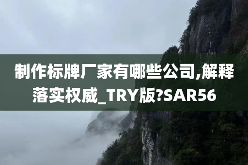 制作标牌厂家有哪些公司,解释落实权威_TRY版?SAR56