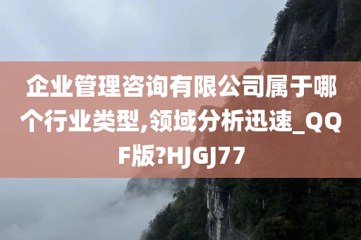 企业管理咨询有限公司属于哪个行业类型,领域分析迅速_QQF版?HJGJ77