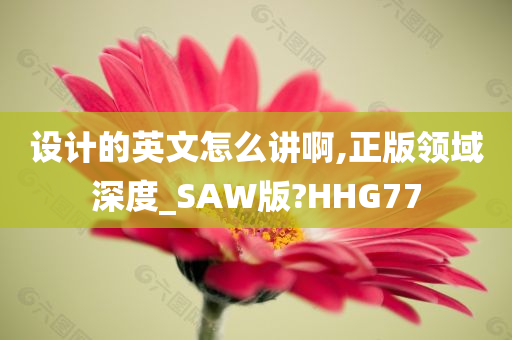 设计的英文怎么讲啊,正版领域深度_SAW版?HHG77