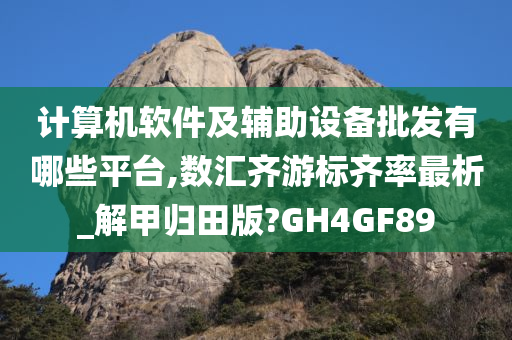 计算机软件及辅助设备批发有哪些平台,数汇齐游标齐率最析_解甲归田版?GH4GF89