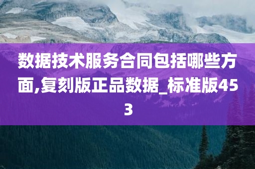 数据技术服务合同包括哪些方面,复刻版正品数据_标准版453