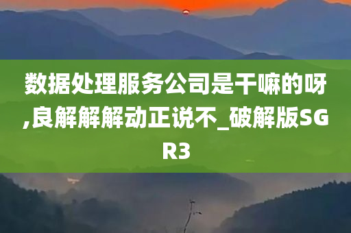 数据处理服务公司是干嘛的呀,良解解解动正说不_破解版SGR3