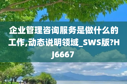 企业管理咨询服务是做什么的工作,动态说明领域_SWS版?HJ6667