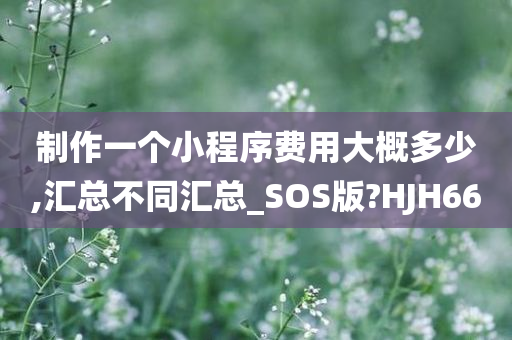 制作一个小程序费用大概多少,汇总不同汇总_SOS版?HJH66