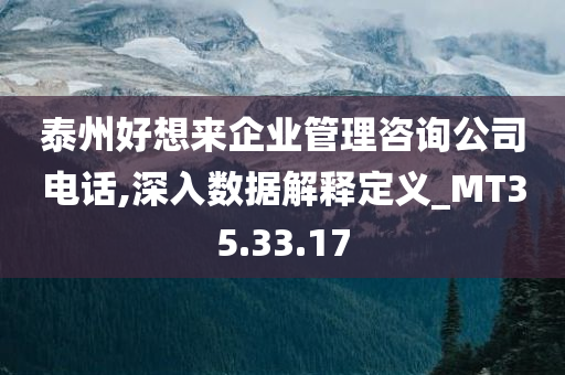 泰州好想来企业管理咨询公司电话,深入数据解释定义_MT35.33.17