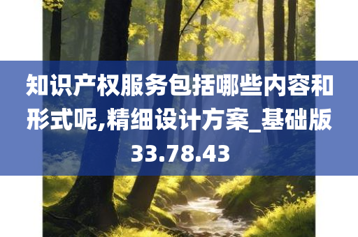 知识产权服务包括哪些内容和形式呢,精细设计方案_基础版33.78.43