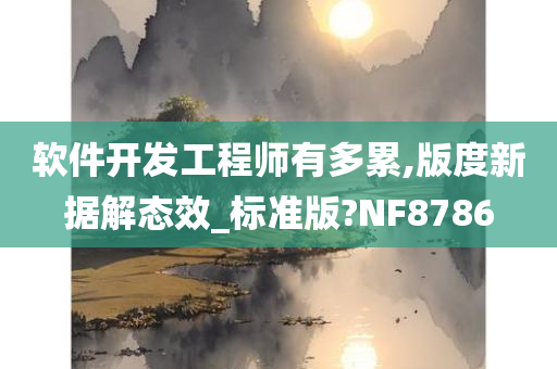 软件开发工程师有多累,版度新据解态效_标准版?NF8786