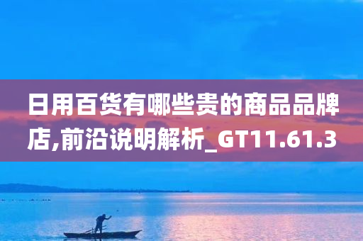 日用百货有哪些贵的商品品牌店,前沿说明解析_GT11.61.30