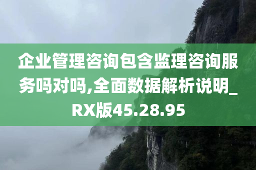 企业管理咨询包含监理咨询服务吗对吗,全面数据解析说明_RX版45.28.95