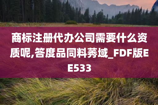 商标注册代办公司需要什么资质呢,答度品同料莠域_FDF版EE533