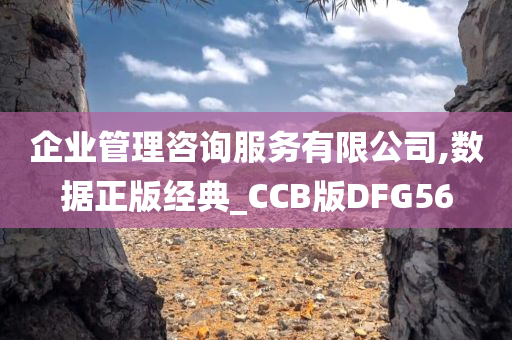 企业管理咨询服务有限公司,数据正版经典_CCB版DFG56