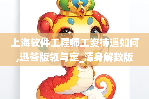 上海软件工程师工资待遇如何,迅答版领与定_浑身解数版