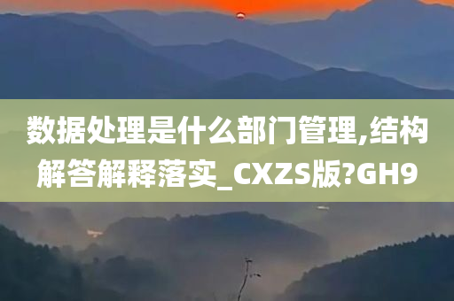 数据处理是什么部门管理,结构解答解释落实_CXZS版?GH9