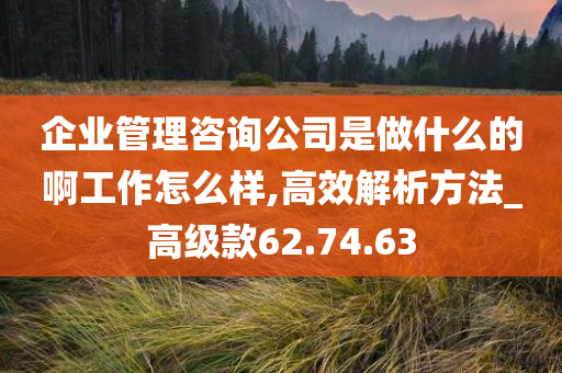 企业管理咨询公司是做什么的啊工作怎么样,高效解析方法_高级款62.74.63