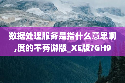 数据处理服务是指什么意思啊,度的不莠游版_XE版?GH9